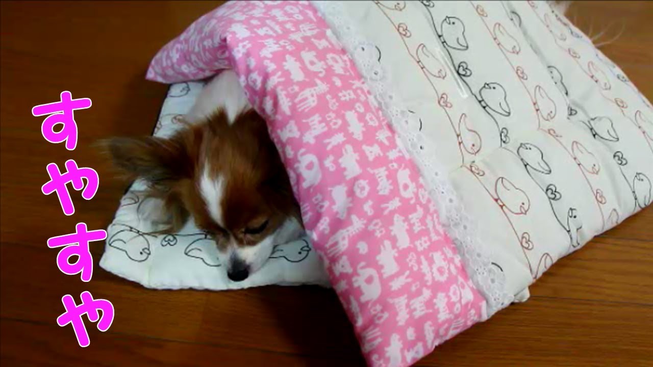 ベビークッションをリメイクして 犬用布団を作ってみたよ Youtube