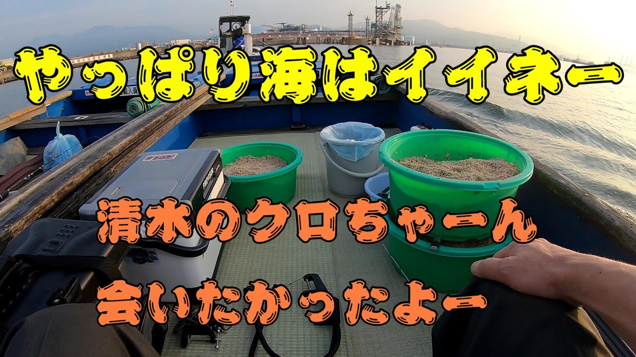 清水港で黒鯛と遊ぼう Vol 21 久しぶりの黒鯛はやっぱり最高 Youtube
