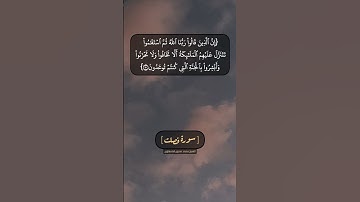 سورة فصلت الآية ٣٠ الى ٣٢ بصوت الشيخ محمد صديق المنشاوي