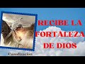 💥FORTALÉCETE!! CON LA GUÍA DE LOS ÁNGELES