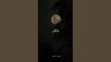 آيات من الذكر الحكيم