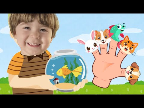 Família Dos Dedos Pets - Animais de Estimação - música infantil - Heitor Ferris