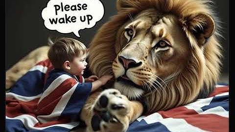 grok video a81826cc 8837 42b4 be12 d86a6b26a9a6