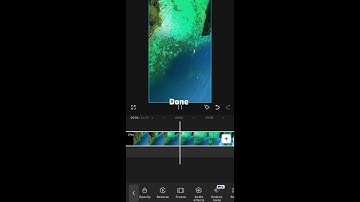 How to reverse video | Full tutorial | Video editing tutorial