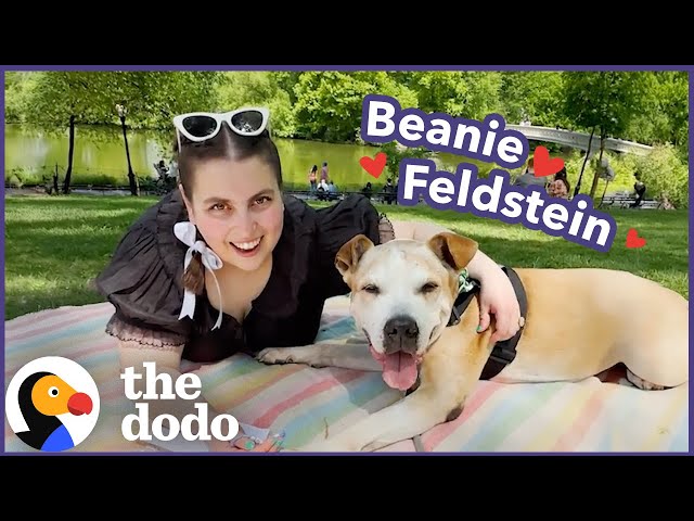 Beanie Feldstein’s Dodo Dream Date Gets Very Emotional | The Dodo class=