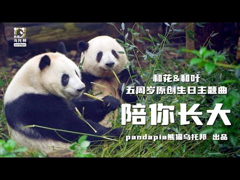 陪你长大｜和花和叶5岁生日MV