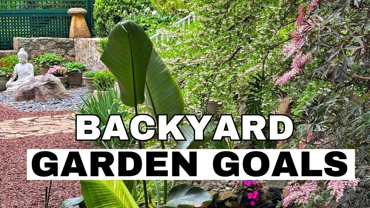 m.gardenです。 ZEN GARDEN TOUR: Backyard Spring Blooms, Container Gardens, Pond