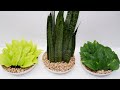 Simple Green House Plants for Summer Decor and Arrangement Ideas to Make Your Home Looks Fresh