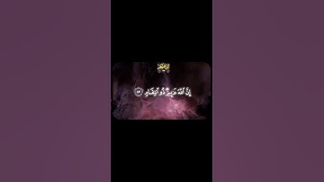 “اية ان الله عزيز ذو انتقام" #اكسبلور #يوسفالصفير #viralvideo #المصحف #تلاوة_خاشعة #لايك #راحة_نفسية