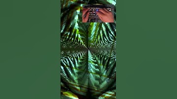 Pittsburgh Modular Lifeforms Voltage Lab - First Steps [NoTalking]  [Visualizer] part 5