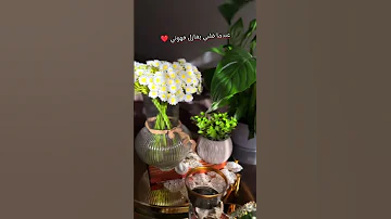 قهوة مع فارس كرم قلة أدب أغنية تكسر الدنيا وتولع قلبك فارس كرم قهوة ترند 