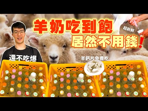 【吃到飽評比】太扯了免費 $0元！羊奶喝到飽 羊鈣片吃到飽｜你能喝幾瓶？冰箱裡的庫存我全都要！超狂 $0元就能喝羊奶 吃羊鈣片｜全品項 宜蘭 美食 推薦｜嘉南羊乳｜All You Can Eat