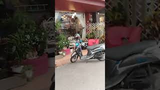 Thai massage saloons-looks busy, Chanthaburi, Thailand #travel #massage #girls#street