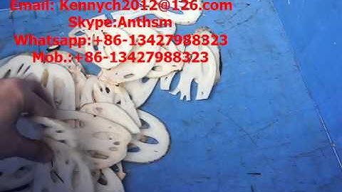 SH-100 Lotus root and root vegetable cutting slicing machine, cutter slicer, chips slice cutter