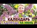 КАЛЕНДАРЬ садовода на ИЮНЬ. Время подкормок и обработок.