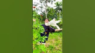 🤣😎🤩💖💖What's a fun way to sing and count numbers? #fun #cute