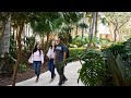 Miami herbert business school tour