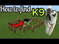 How to find K9 DOG in Minecraft Pe