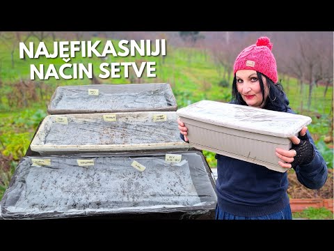 Setva Decembarskog Rasadnika