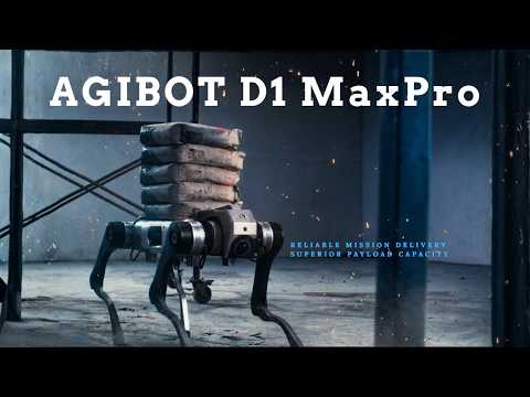 D1 MaxPro video