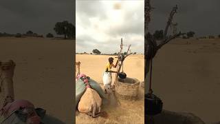 राजस्थान मे सुखे से लड़ने का। Unique weapon. Hair mat innovation.#shortvideo