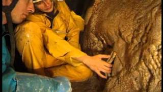 Néotectonique dans la grotte des Deux Gourdes par Éric Gilli