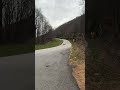 Shelby GT350 Loud Downshifts in the Mountains