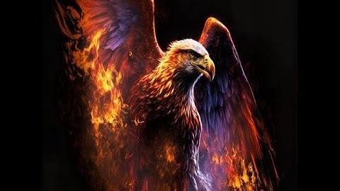 Dark Night  PVP SERVER 5095