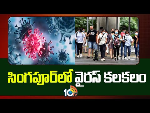 Virus detected in Singapore | సింగపూర్‎లో వైరస్ కలకలం | 10tv - 10TVNEWSTELUGU