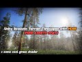 Unity Realistic Terrain Timelapse with HDRP (FREE ASSETS ONLY)