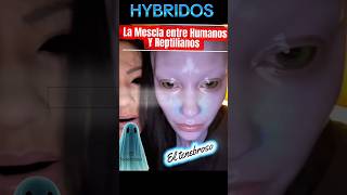 HYBRIDOS #hybrid #aterrador #miedo #terrorymisterio #misterio