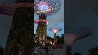 #singapore #gardensbythebay #singaporeculture #singaporeffshortvideo #singaporetravel #travel