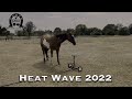 Heat Wave 2022