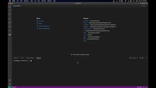 Changing Terminal View (temporarily) So Your File Path Is Not Exposed!