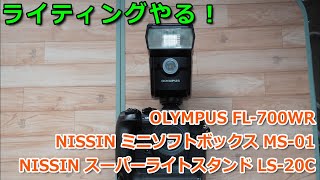 ライティングのためにOLYMPUS FL-700WR NISSIN MS-01LS-20Cを購入した！