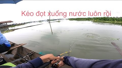 Câu cá bè bình thạnh trúng ổ cá dãnh cá cóc 2 anh em dựt mỏi tay