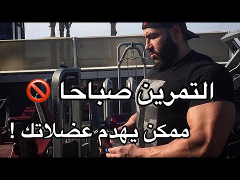 هل التمرين صباحا مفيد أفضل وجبة قبل التمرين 