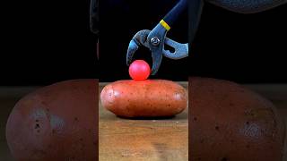 🔥 1000°C Red Hot Copper Ball vs Asian Potato | Satisfying Science Experiment 🔥 #experiment #asmr