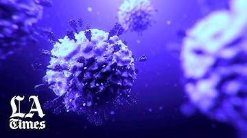 Part 1: COVID-19 Is Here to Stay