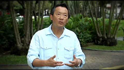 Qual é a importância das áreas verdes nas cidades?