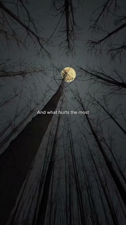 People You Know - salena gomez / lyrics / aesthetic / Whatsapp Status / English song / slowed