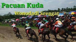 Kejuaraan Pacuan Kuda Bupati Blitar Cup 2020 Desa Pikatan Wonodadi BLITAR