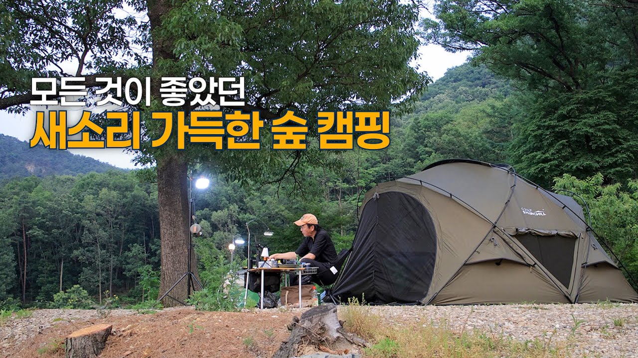 ep.12 모든 것이 좋았던 새소리 가득한 숲 캠핑 하지만... | 천둥,번개,소나기 그리고 빌런 | 옥천 마로니에숲캠핑장 | ASMR | 고아웃스프링힐쉘터 | 솔캠