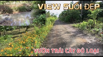 ĐÃ LỚN TUỔI RỒI ! SỨC KHỎE ĐÂU MÀ LÀM VƯỜN ĐÀNH PHẢI BÁN MÃNH VƯỜN TRÁI CÂY ĐỦ LOẠI CÓ VIEW SUỐI