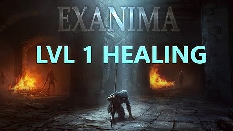 Healing Potion/Salve Exanima lvl 1