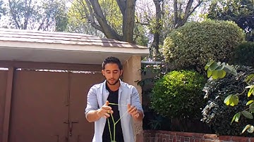 Paul Kerbel Presents: Grindster