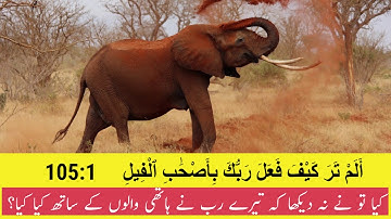 Surah Al Feel with Urdu Translation | Quran Chapter  : 105 | سورة الفيل