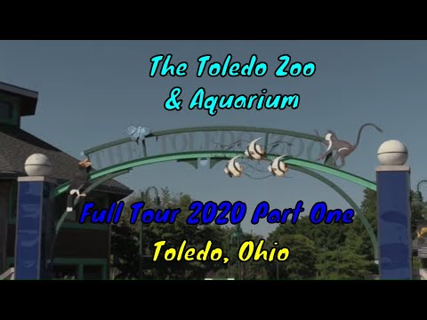 Video: Những Bãi biển Tốt nhất Gần Toledo, Ohio