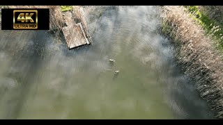 4K Drone Footage. The Hamptons Wetlands