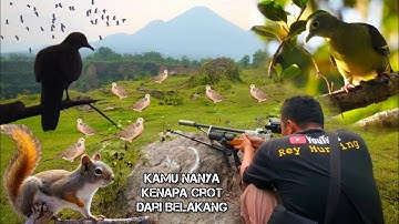 Libas punai, tekukur dan tupai bersama @wayaehunting7084